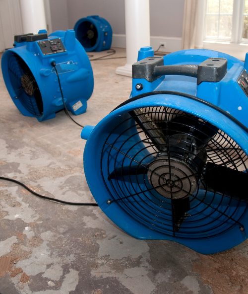 ReClaim It Water Damage Restoration