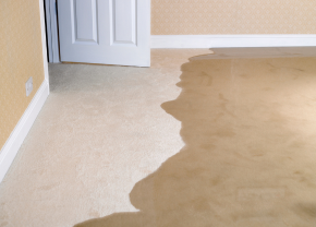 ReClaim It Water Damaged Restoration & Carpet Care Services